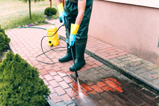 Best Roof Pressure Washing  in Lees Summit, MO