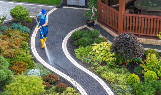 Best Roof Pressure Washing  in Lees Summit, MO